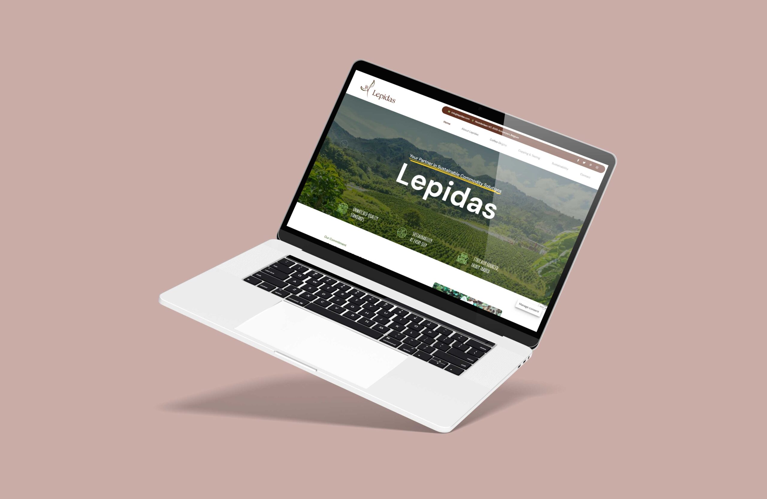 Lepidas – Web Tasarım Projesi